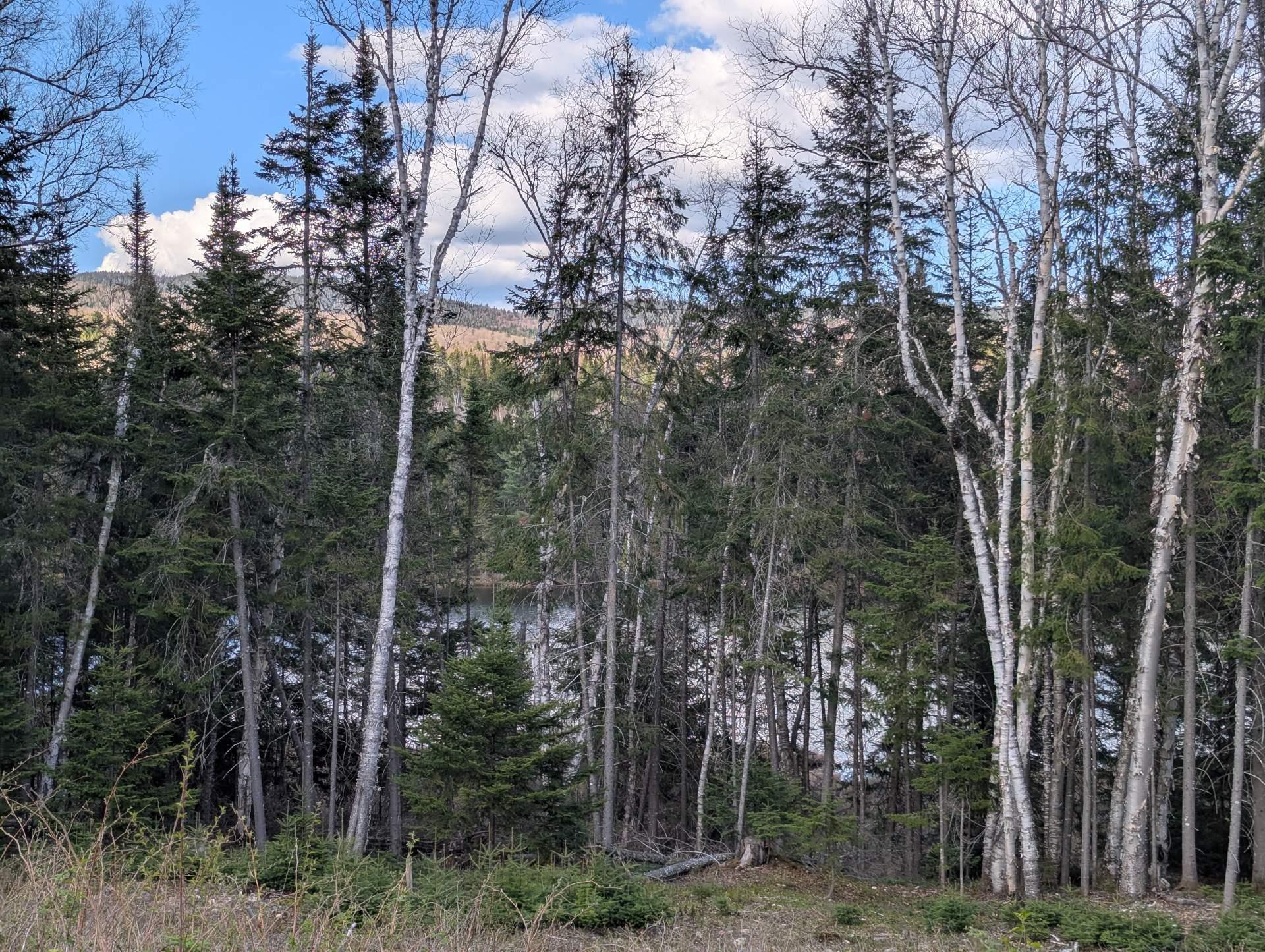 












Ch. du Lac-Baribeau

,
Saint-Donat,







QC
J0T2C0

