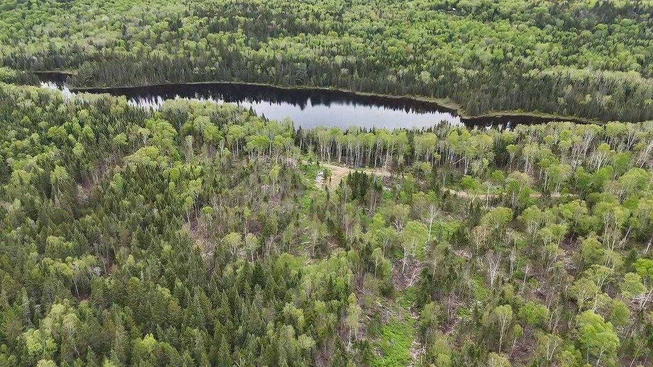 












Ch. du Lac-Baribeau

,
Saint-Donat,







QC
J0T2C0

