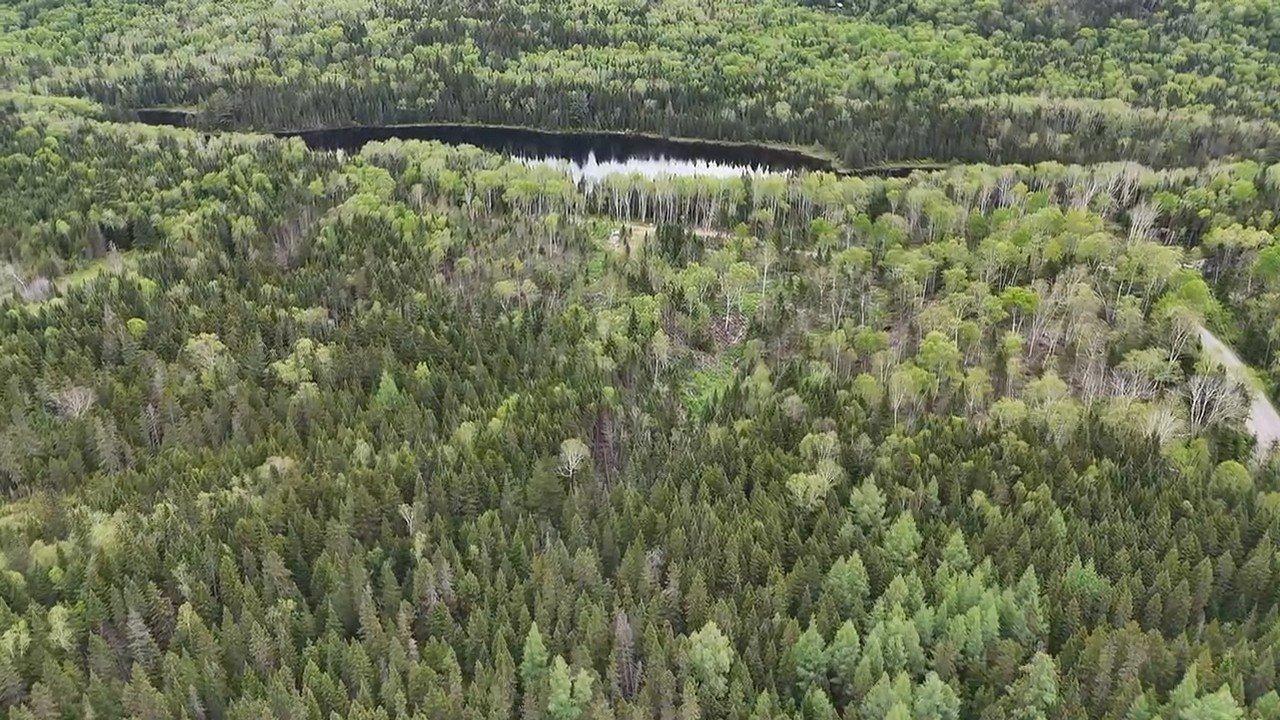 












Ch. du Lac-Baribeau

,
Saint-Donat,







QC
J0T2C0

