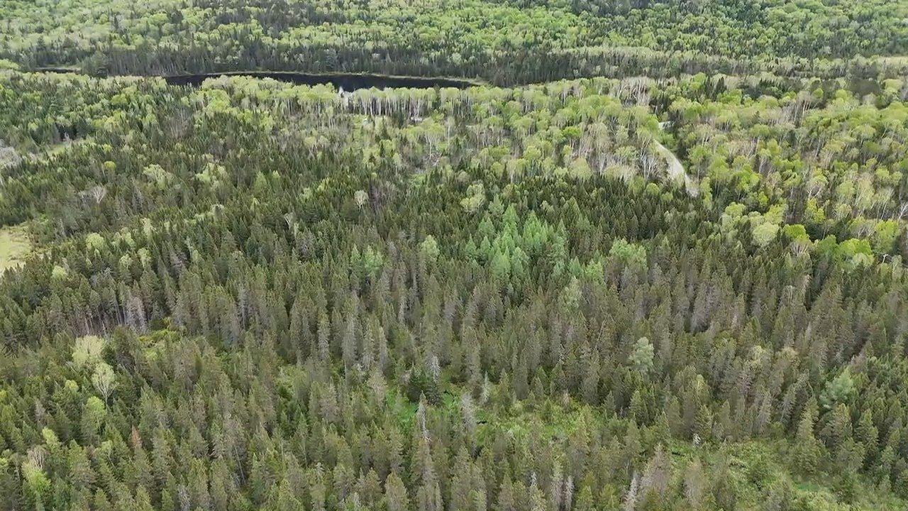 












Ch. du Lac-Baribeau

,
Saint-Donat,







QC
J0T2C0

