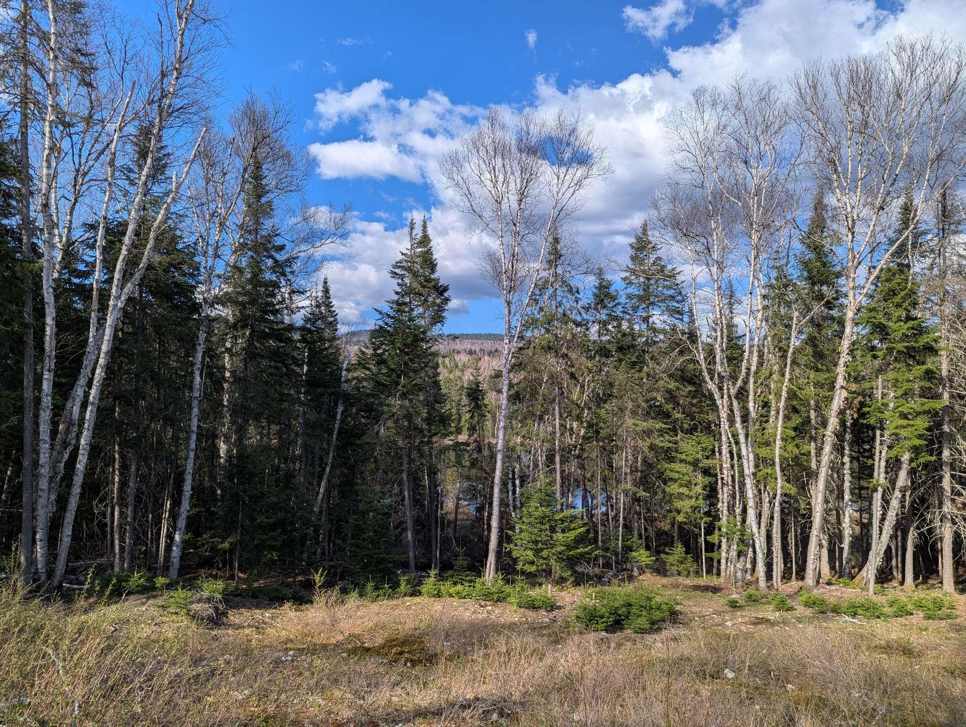 












Ch. du Lac-Baribeau

,
Saint-Donat,







QC
J0T2C0

