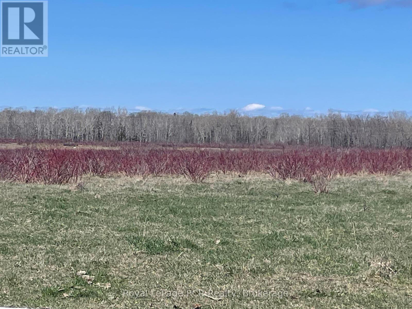 












250 SCOTCH LINE ROAD

,
Assiginack,







Ontario
P0P1W0

