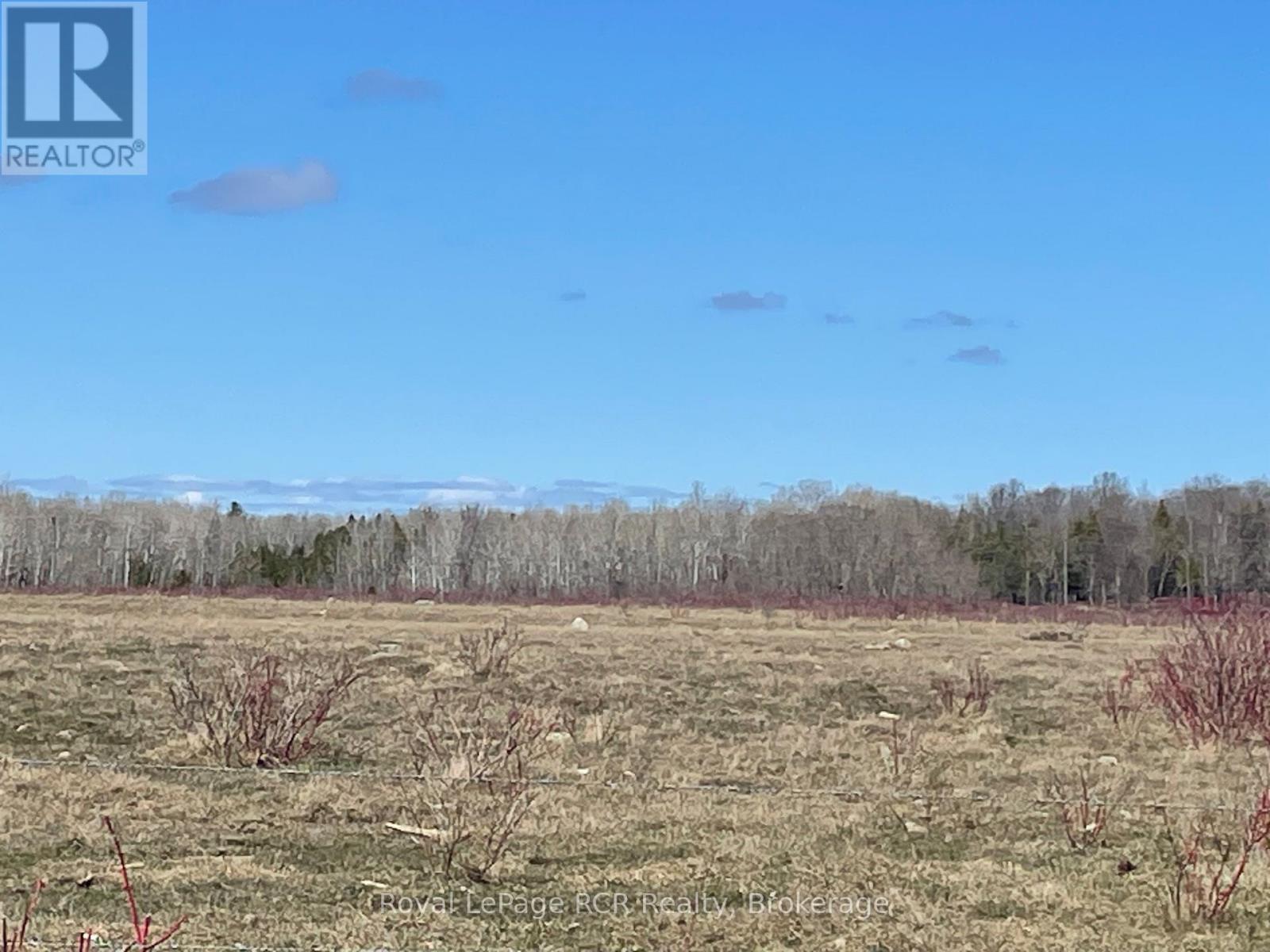 












250 SCOTCH LINE ROAD

,
Assiginack,







Ontario
P0P1W0

