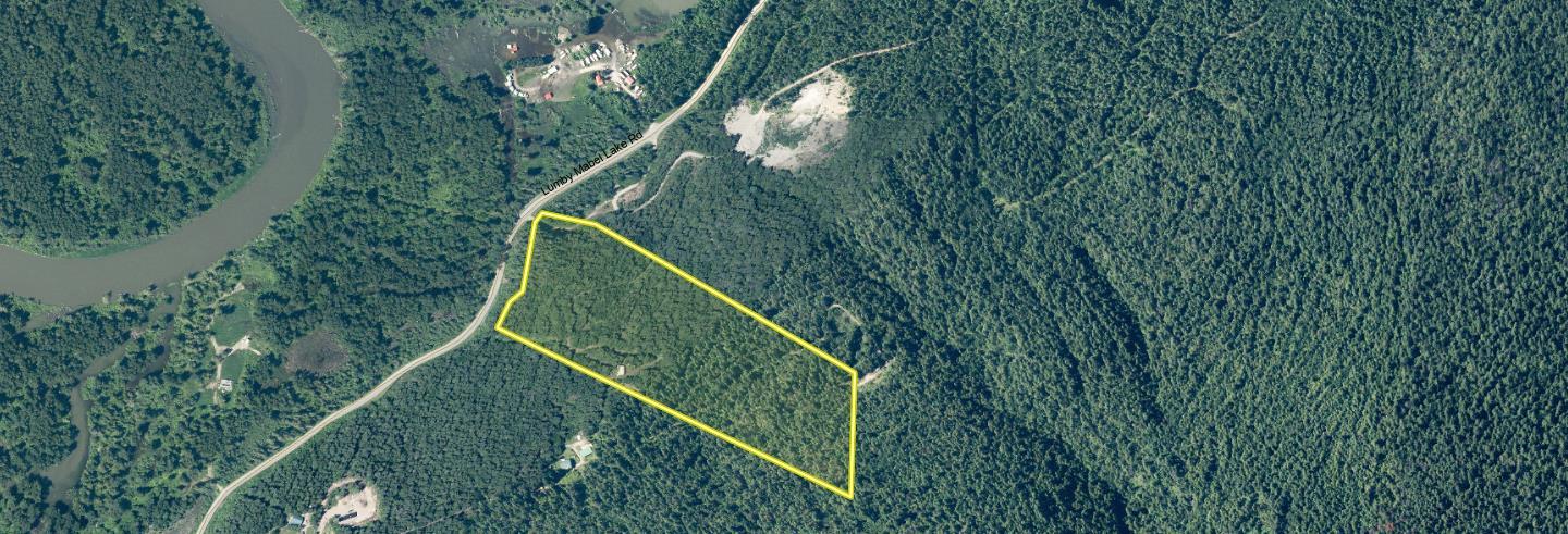 









3217


Lumby Mabel Lake

Road,
Lumby,




BC
V0E 2G6

