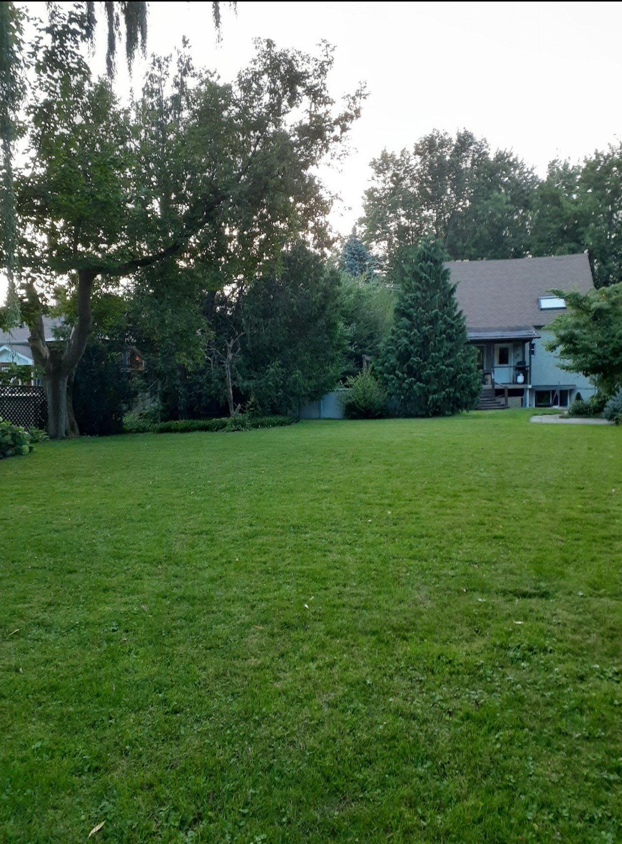 









264


Rue Principale

,
Saint-Basile-le-Grand,




QC
J3N1H3

