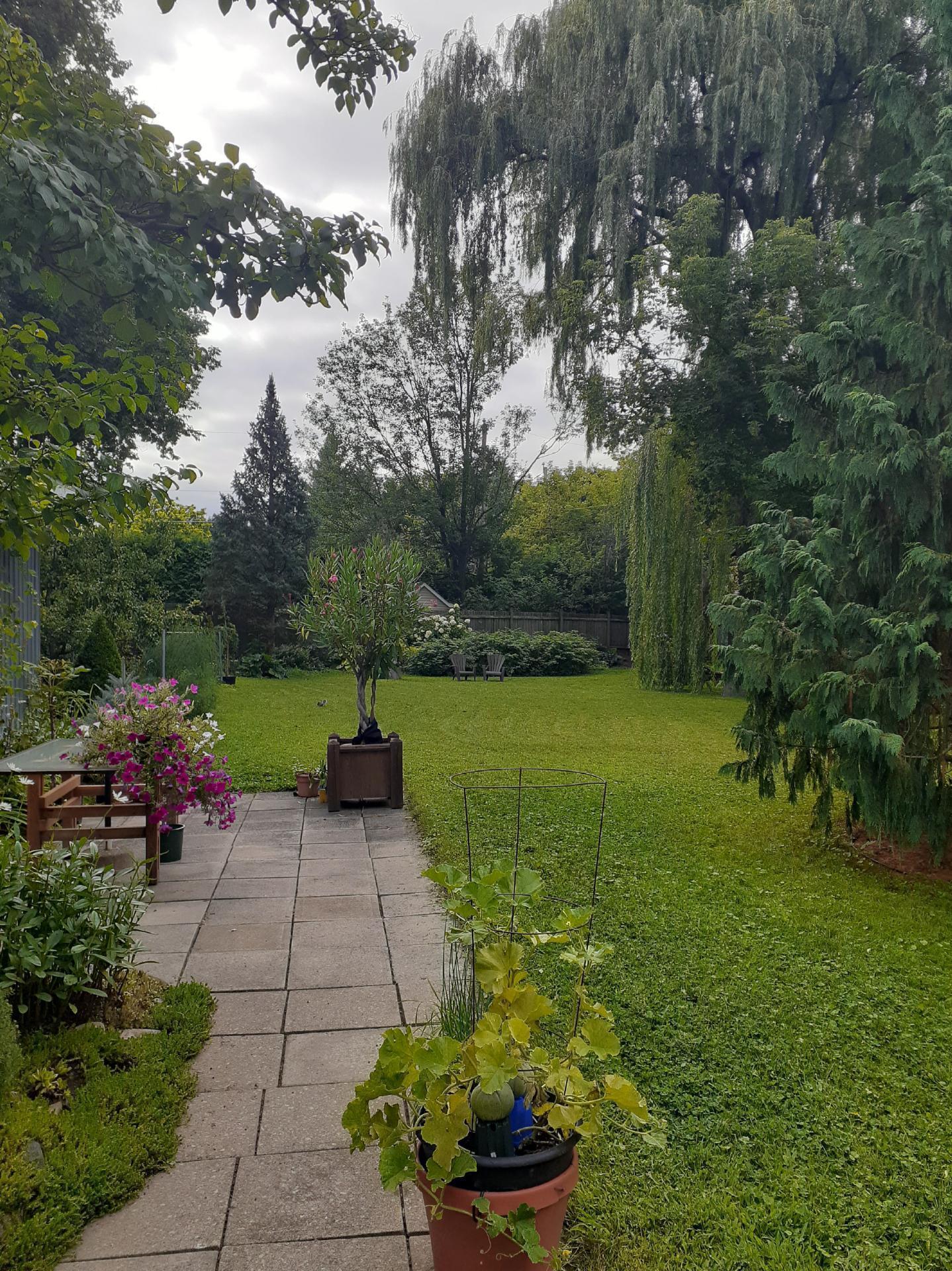 









264


Rue Principale

,
Saint-Basile-le-Grand,




QC
J3N1H3

