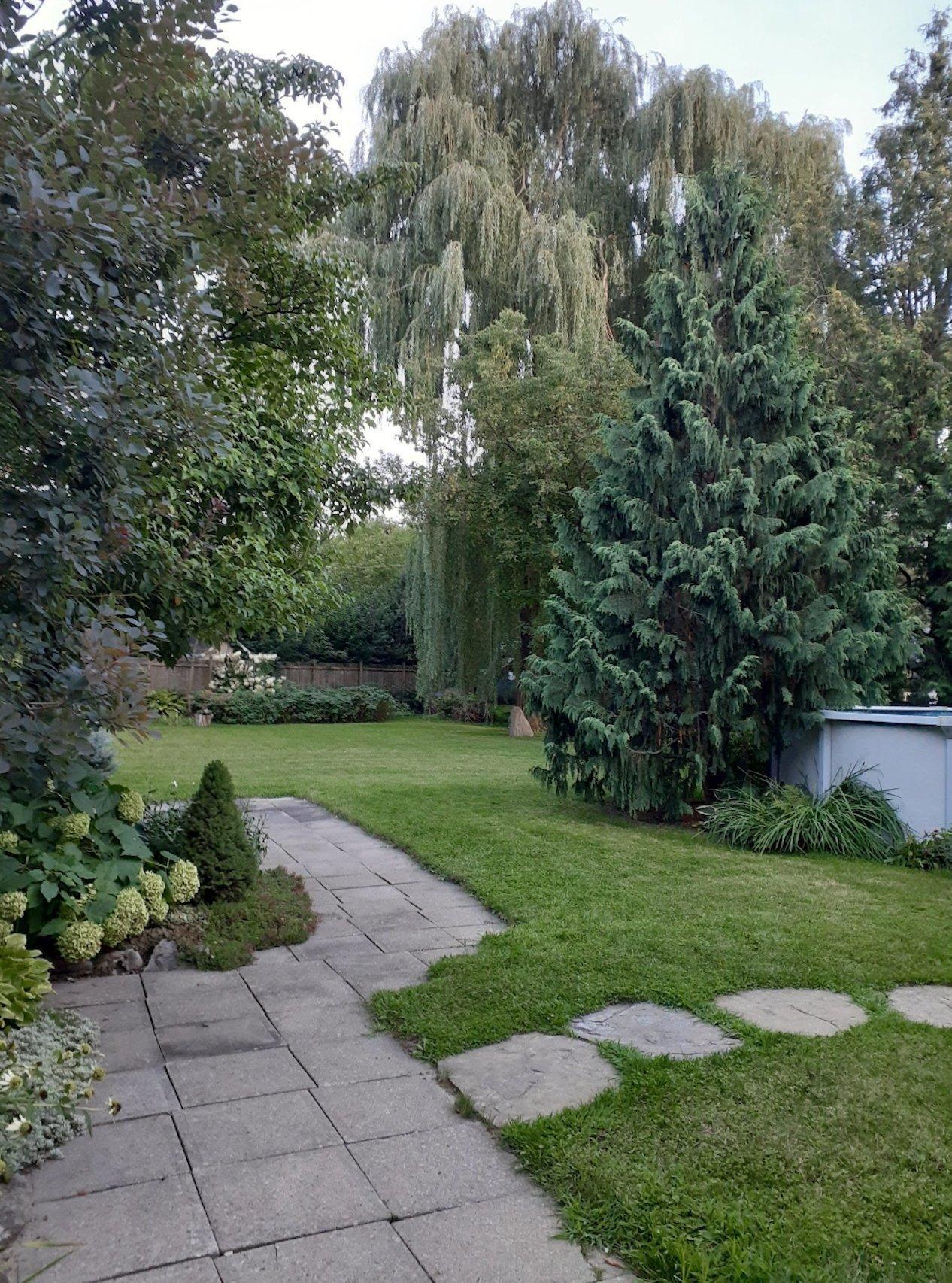 









264


Rue Principale

,
Saint-Basile-le-Grand,




QC
J3N1H3

