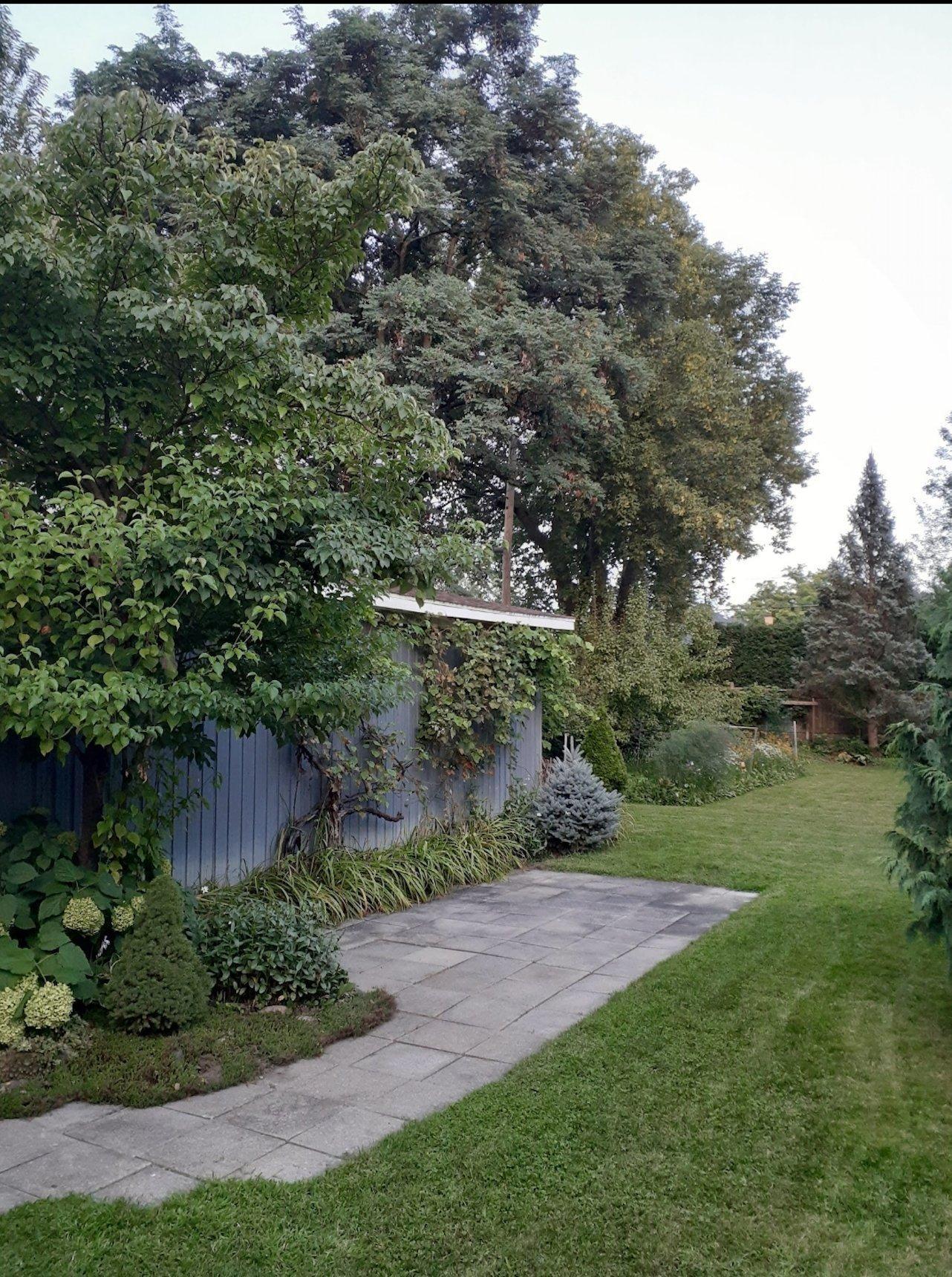 









264


Rue Principale

,
Saint-Basile-le-Grand,




QC
J3N1H3

