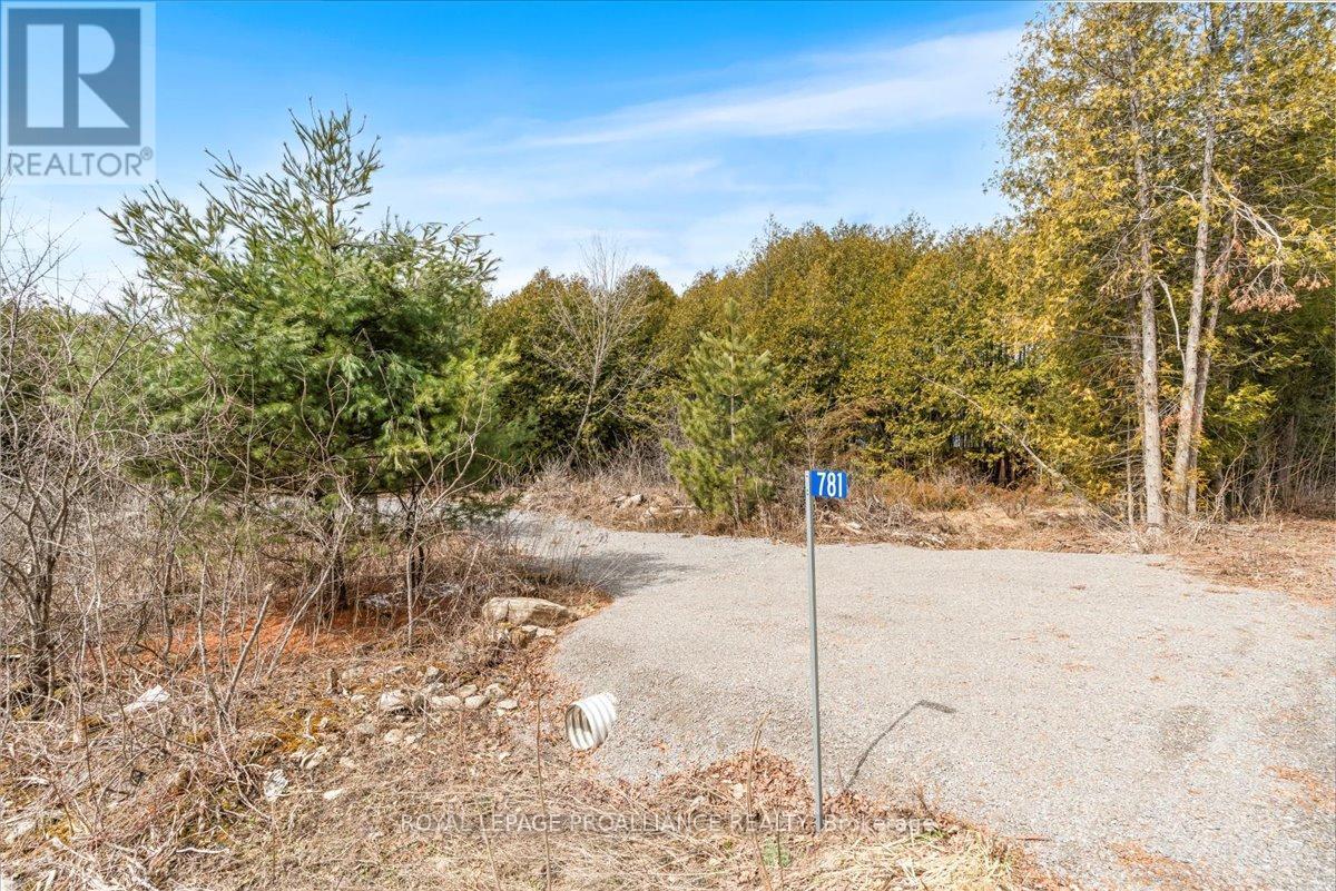 












781 CARSON ROAD

,
Centre Hastings,







Ontario
K0K3E0

