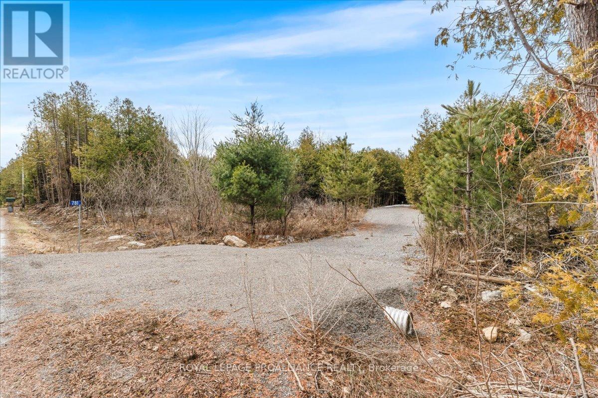 












781 CARSON ROAD

,
Centre Hastings,







Ontario
K0K3E0

