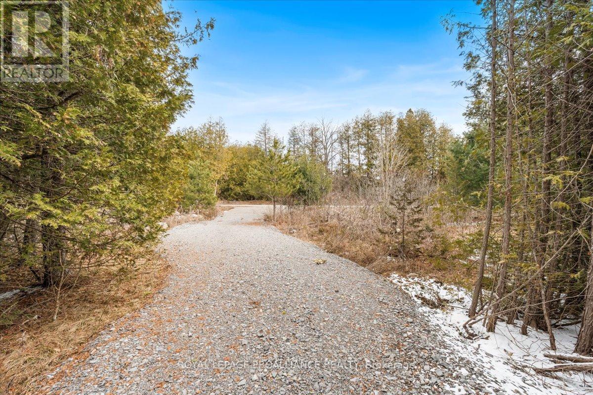 












781 CARSON ROAD

,
Centre Hastings,







Ontario
K0K3E0

