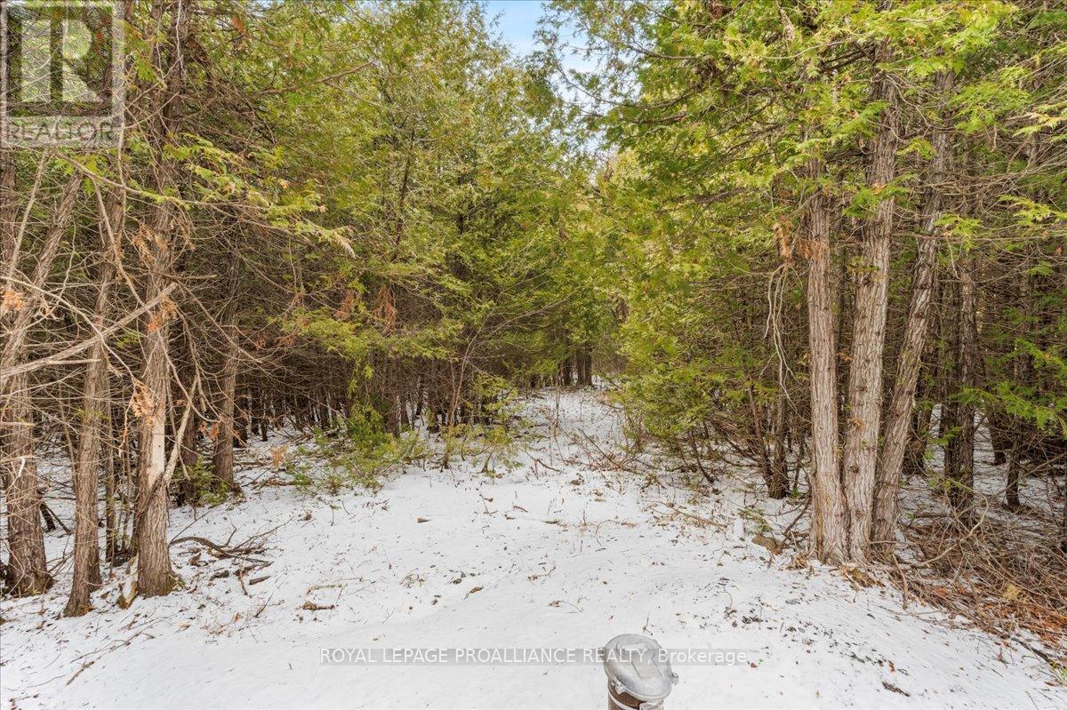 












781 CARSON ROAD

,
Centre Hastings,







Ontario
K0K3E0

