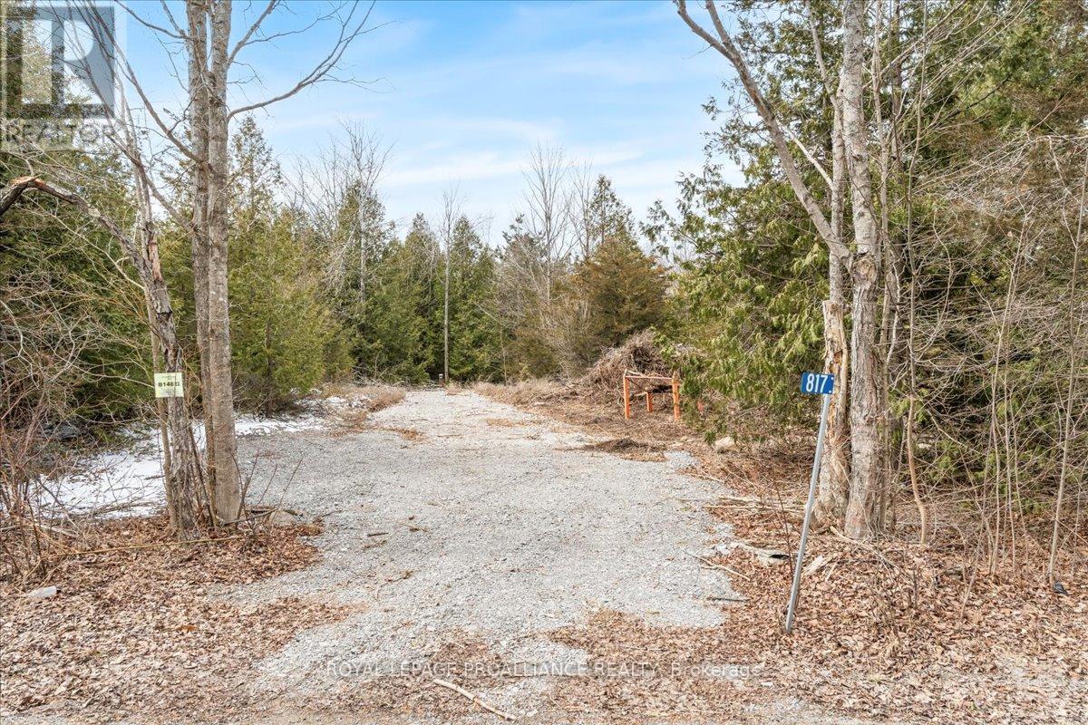 












817 CARSON ROAD

,
Centre Hastings,







Ontario
K0K3E0

