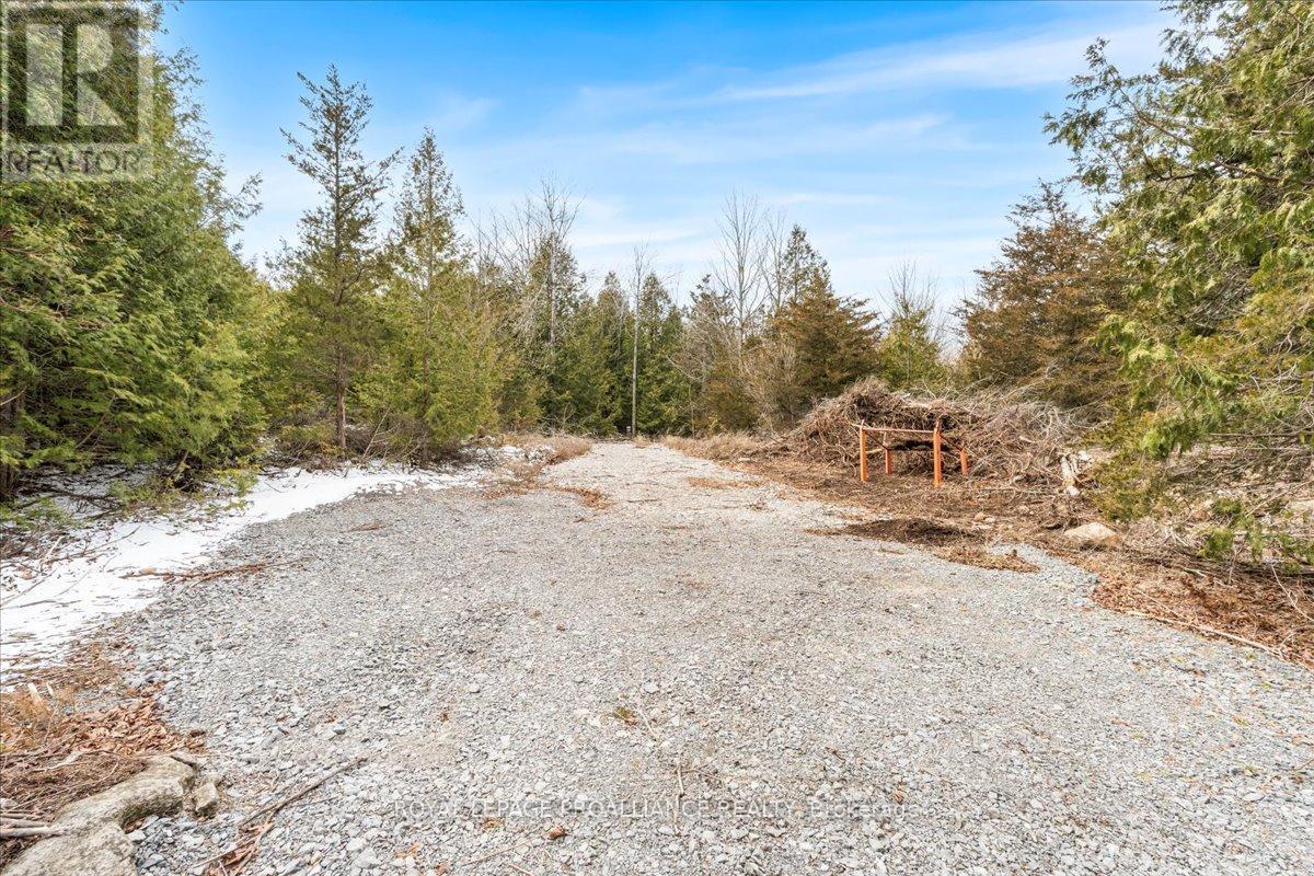 












817 CARSON ROAD

,
Centre Hastings,







Ontario
K0K3E0

