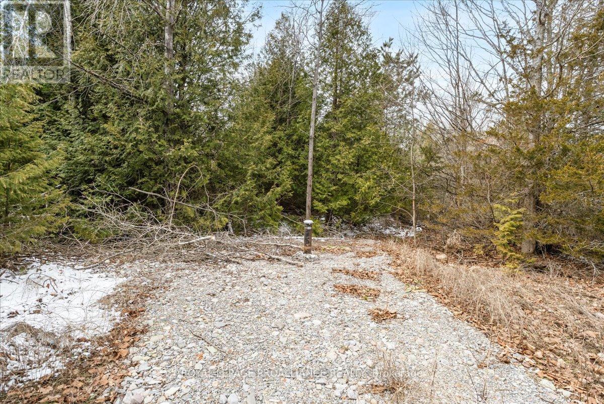 












817 CARSON ROAD

,
Centre Hastings,







Ontario
K0K3E0

