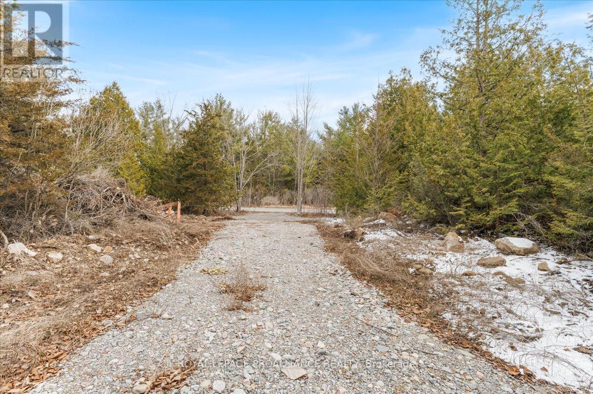 












817 CARSON ROAD

,
Centre Hastings,







Ontario
K0K3E0

