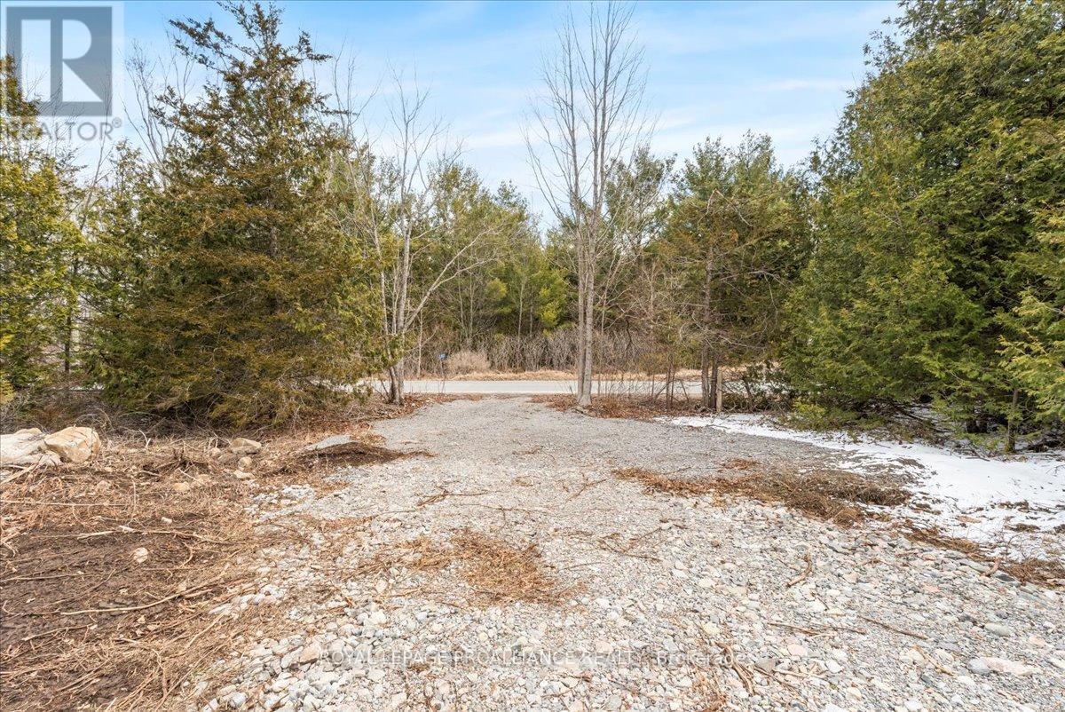 












817 CARSON ROAD

,
Centre Hastings,







Ontario
K0K3E0

