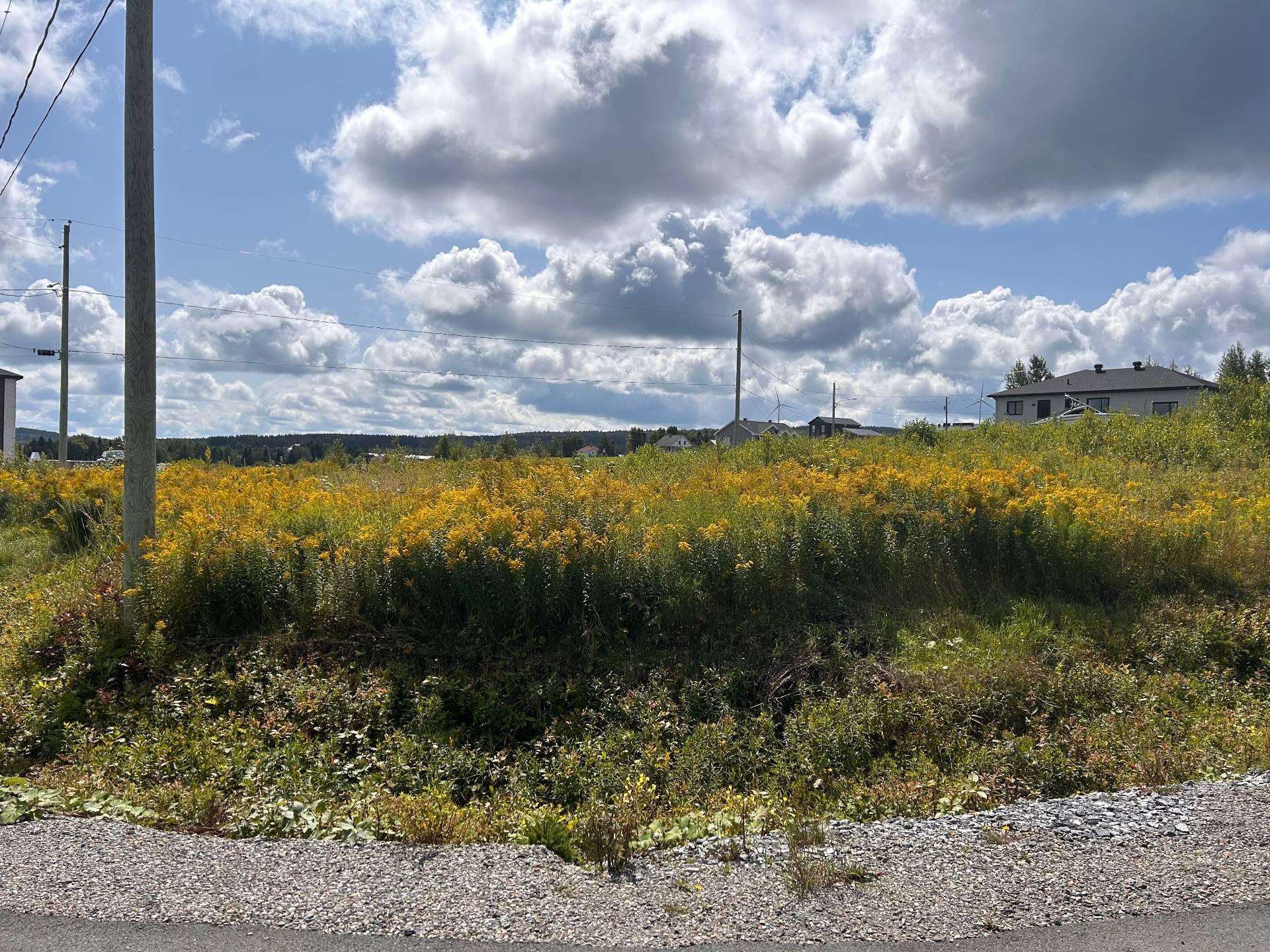 









19


Rue des Sommets

,
Saint-Séverin,







QC
G0N1V0

