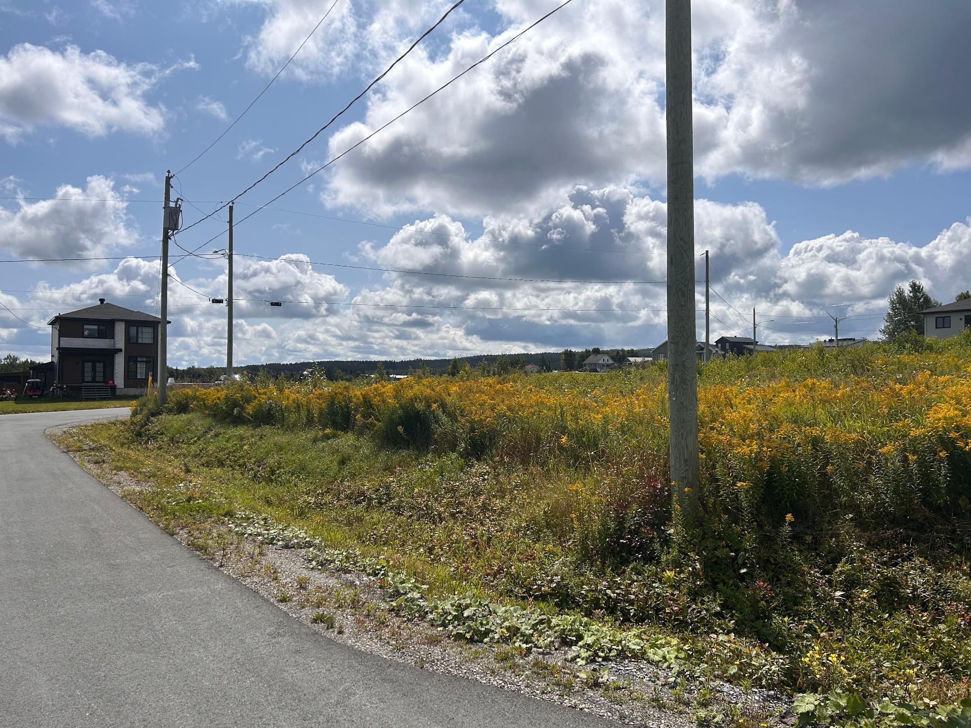 









19


Rue des Sommets

,
Saint-Séverin,







QC
G0N1V0


