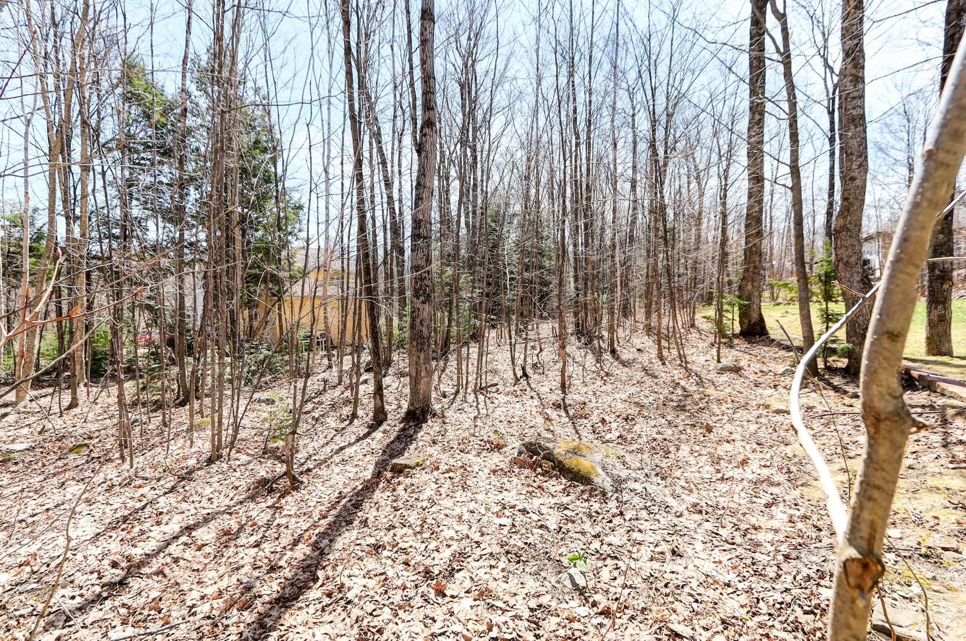 









144


Rue du Merlot

,
Sainte-Sophie,




QC
J5J0N8

