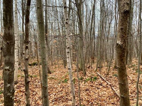 Photo de l'inscription vedette 