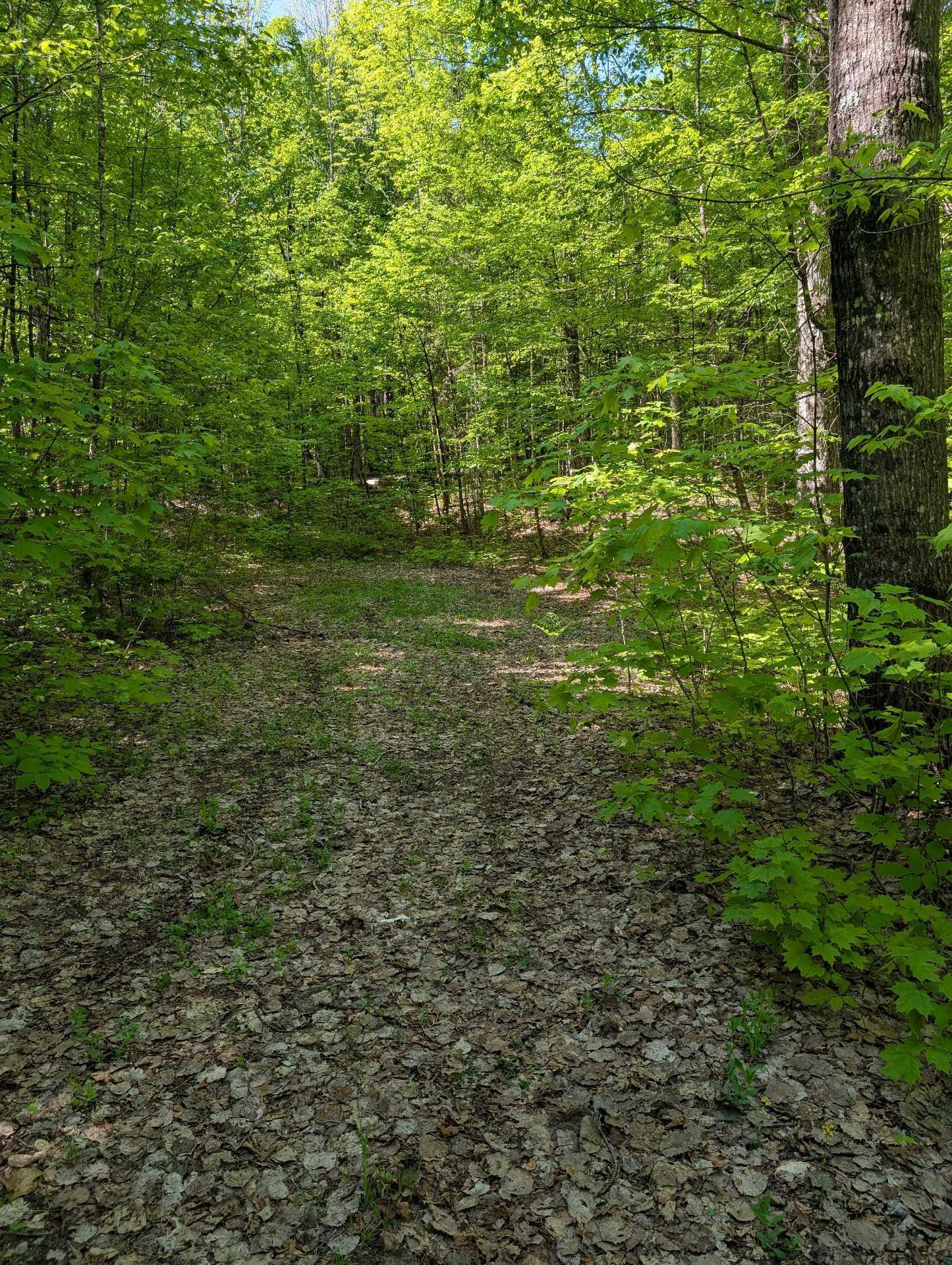 









27


Ch. Bernier

,
La Pêche,







QC
J0X1S0

