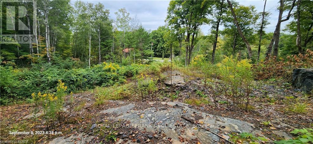 












169 NORTHERN AVENUE

,
Trent Lakes,







Ontario
K0M1A0

