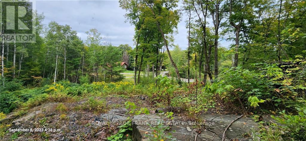 












169 NORTHERN AVENUE

,
Trent Lakes,







Ontario
K0M1A0

