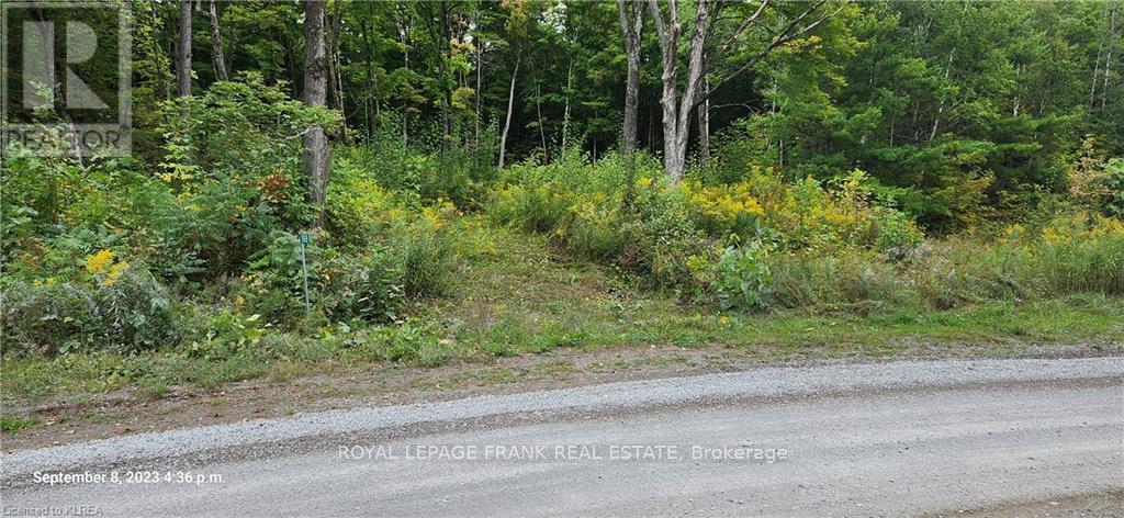 












169 NORTHERN AVENUE

,
Trent Lakes,







Ontario
K0M1A0

