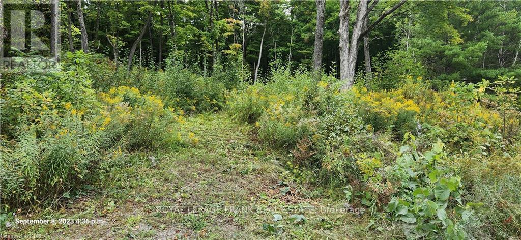 












169 NORTHERN AVENUE

,
Trent Lakes,







Ontario
K0M1A0

