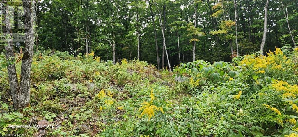 












169 NORTHERN AVENUE

,
Trent Lakes,







Ontario
K0M1A0

