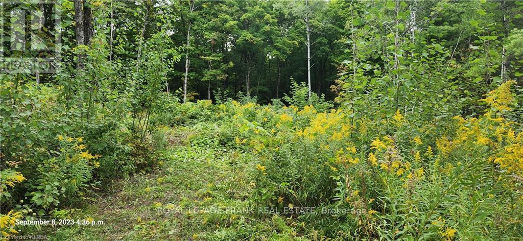 












169 NORTHERN AVENUE

,
Trent Lakes,







Ontario
K0M1A0

