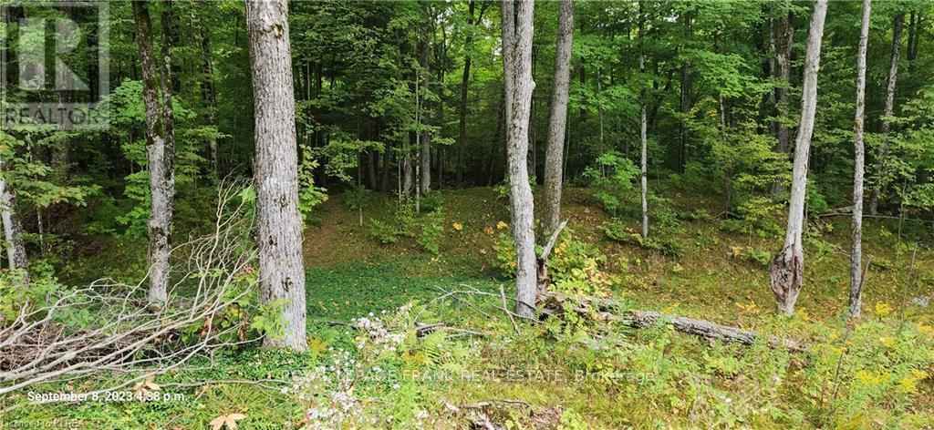 












169 NORTHERN AVENUE

,
Trent Lakes,







Ontario
K0M1A0

