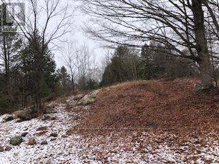 












00 ARMSTRONG LINE N

,
Tay Valley,







Ontario
K0H2B0

