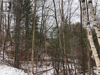 












00 ARMSTRONG LINE N

,
Tay Valley,







Ontario
K0H2B0

