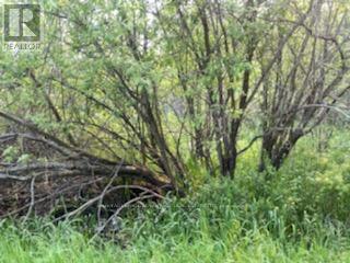 












00 ARMSTRONG LINE N

,
Tay Valley,







Ontario
K0H2B0

