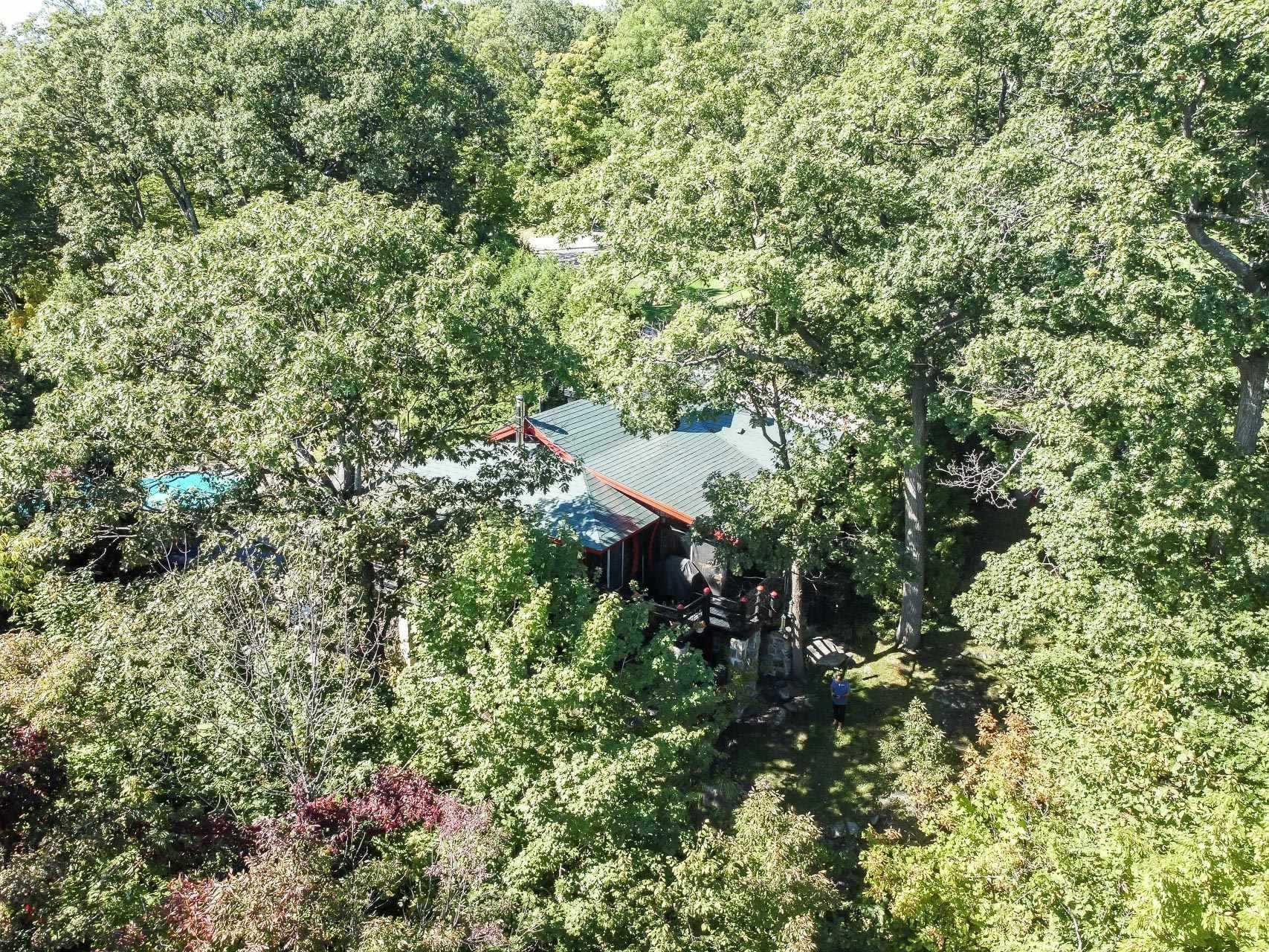 









477


Ch. des Critiques

,
Montebello,




QC
J0V1L0

