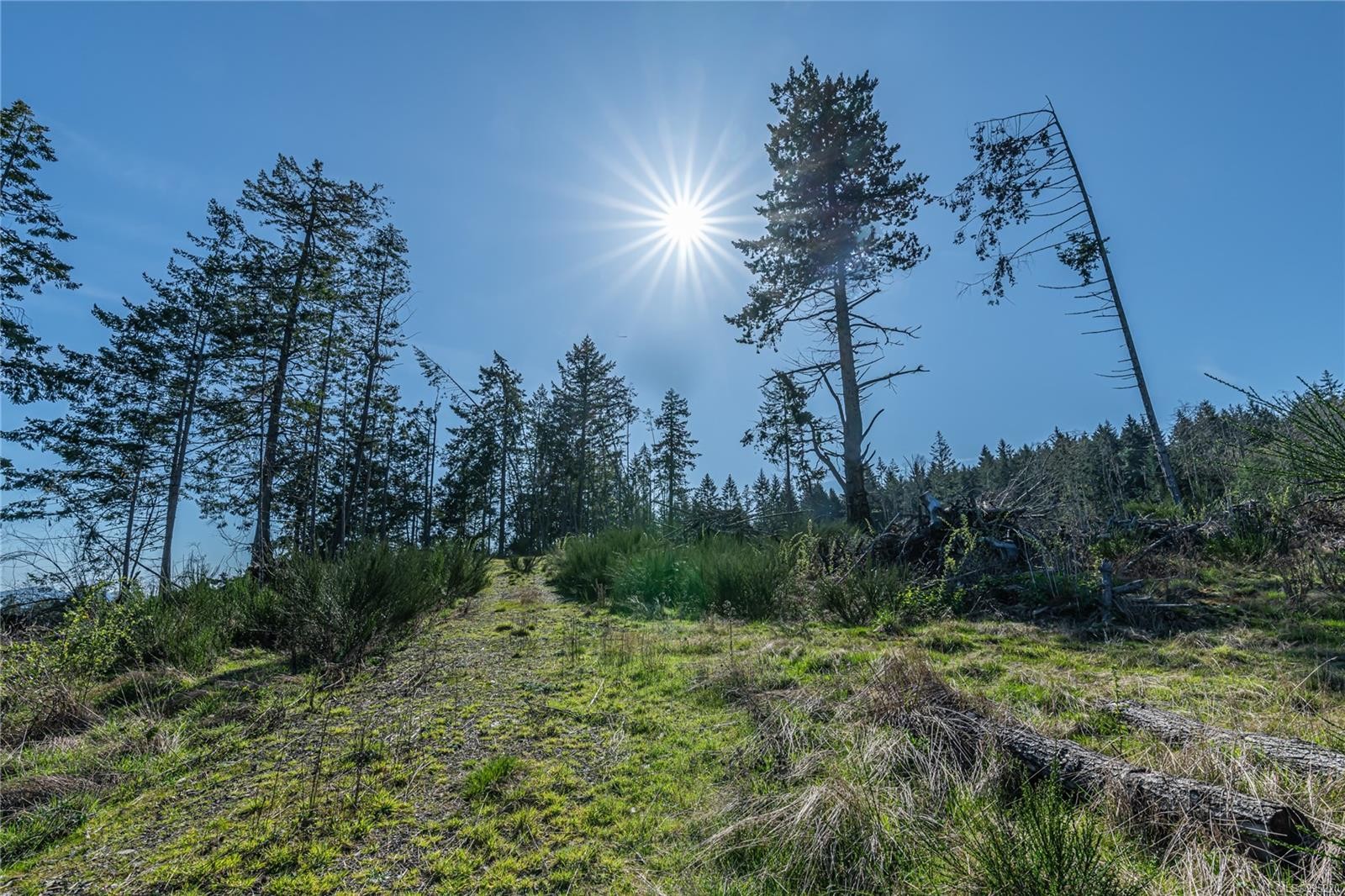 









547


Beddis

Rd,
Salt Spring,







BC
V8K 2E8

