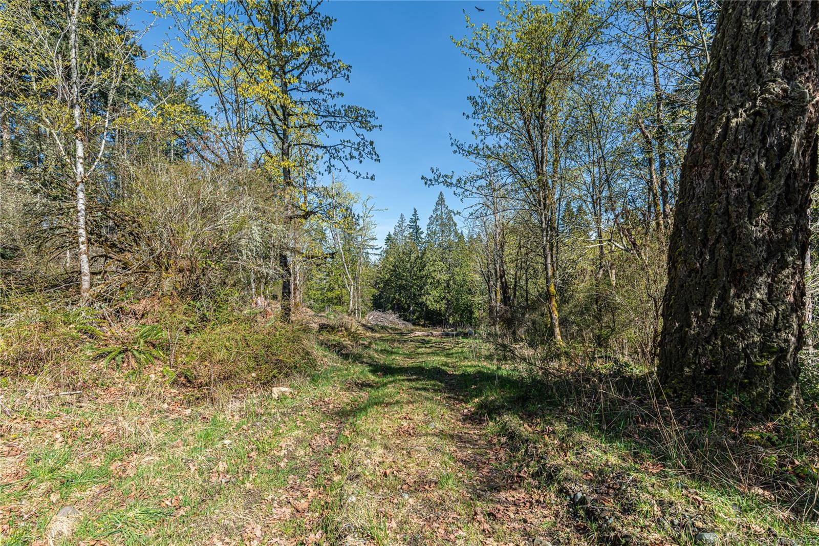 









547


Beddis

Rd,
Salt Spring,







BC
V8K 2E8

