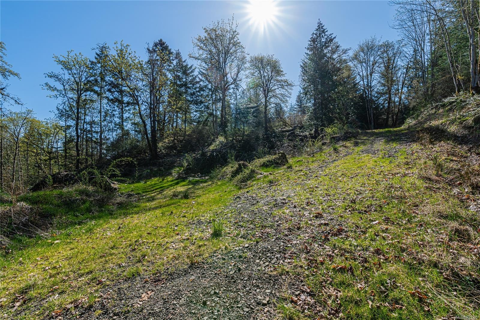 









547


Beddis

Rd,
Salt Spring,







BC
V8K 2E8

