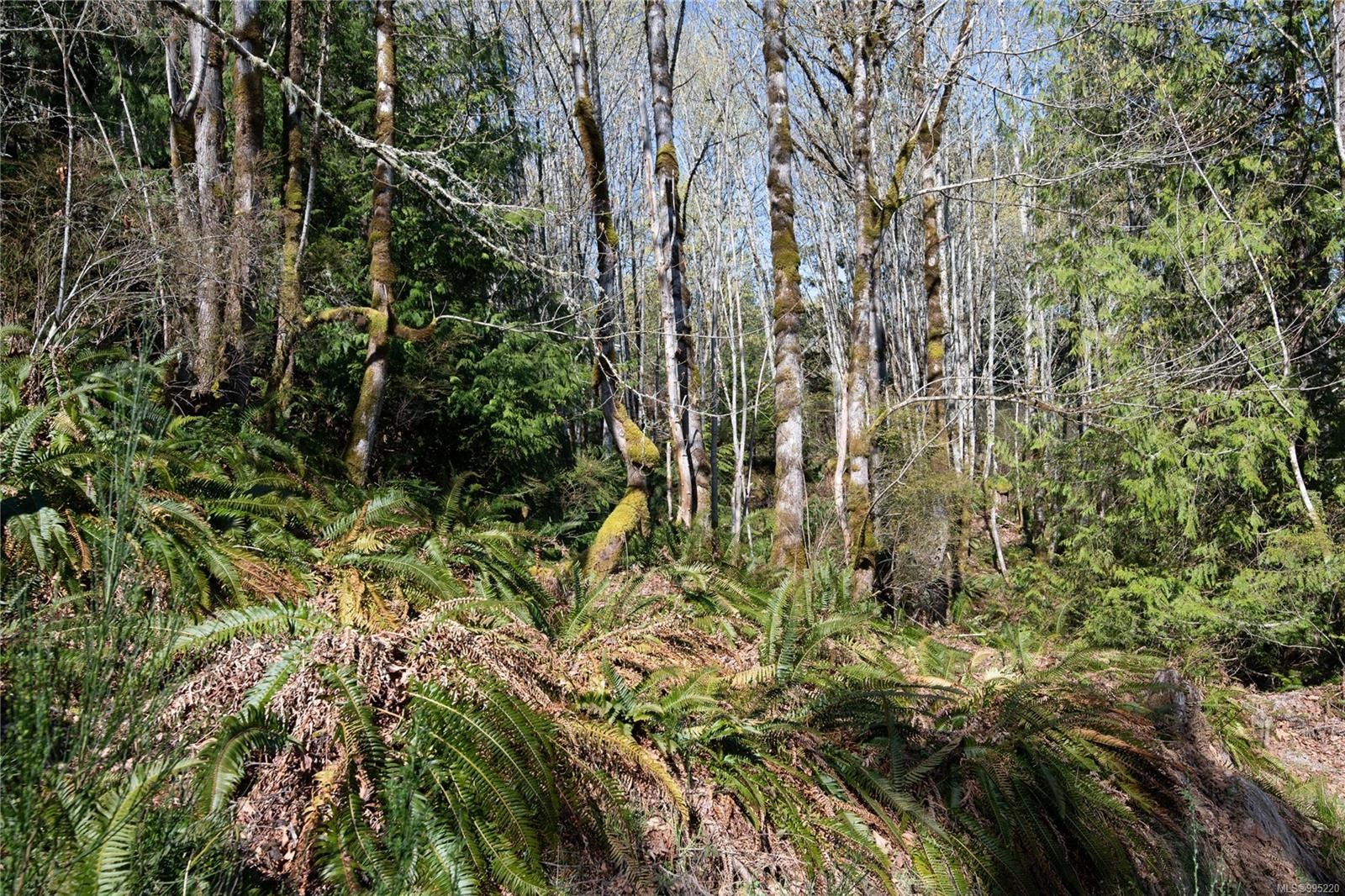 









547


Beddis

Rd,
Salt Spring,







BC
V8K 2E8

