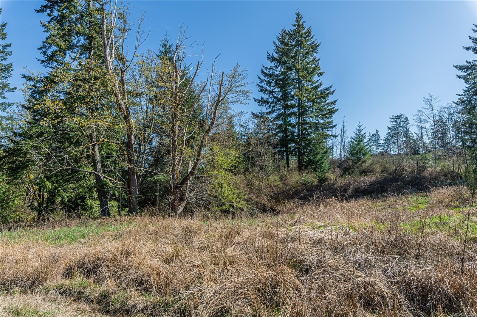 









547


Beddis

Rd,
Salt Spring,







BC
V8K 2E8

