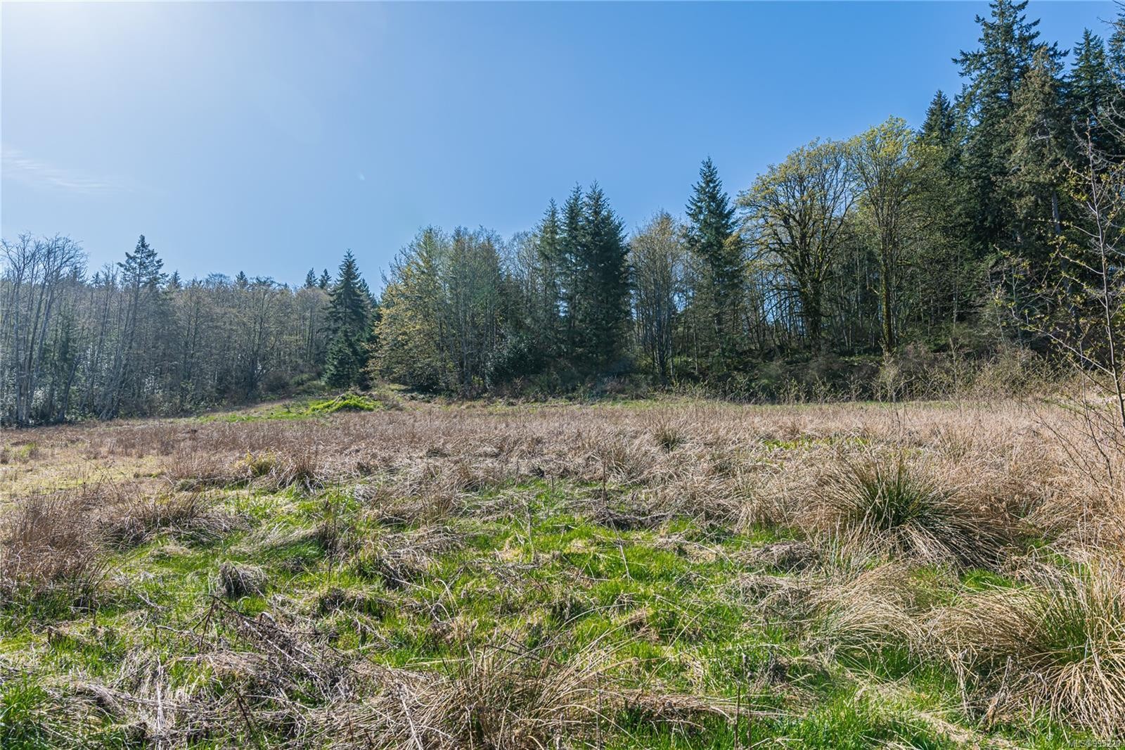 









547


Beddis

Rd,
Salt Spring,







BC
V8K 2E8

