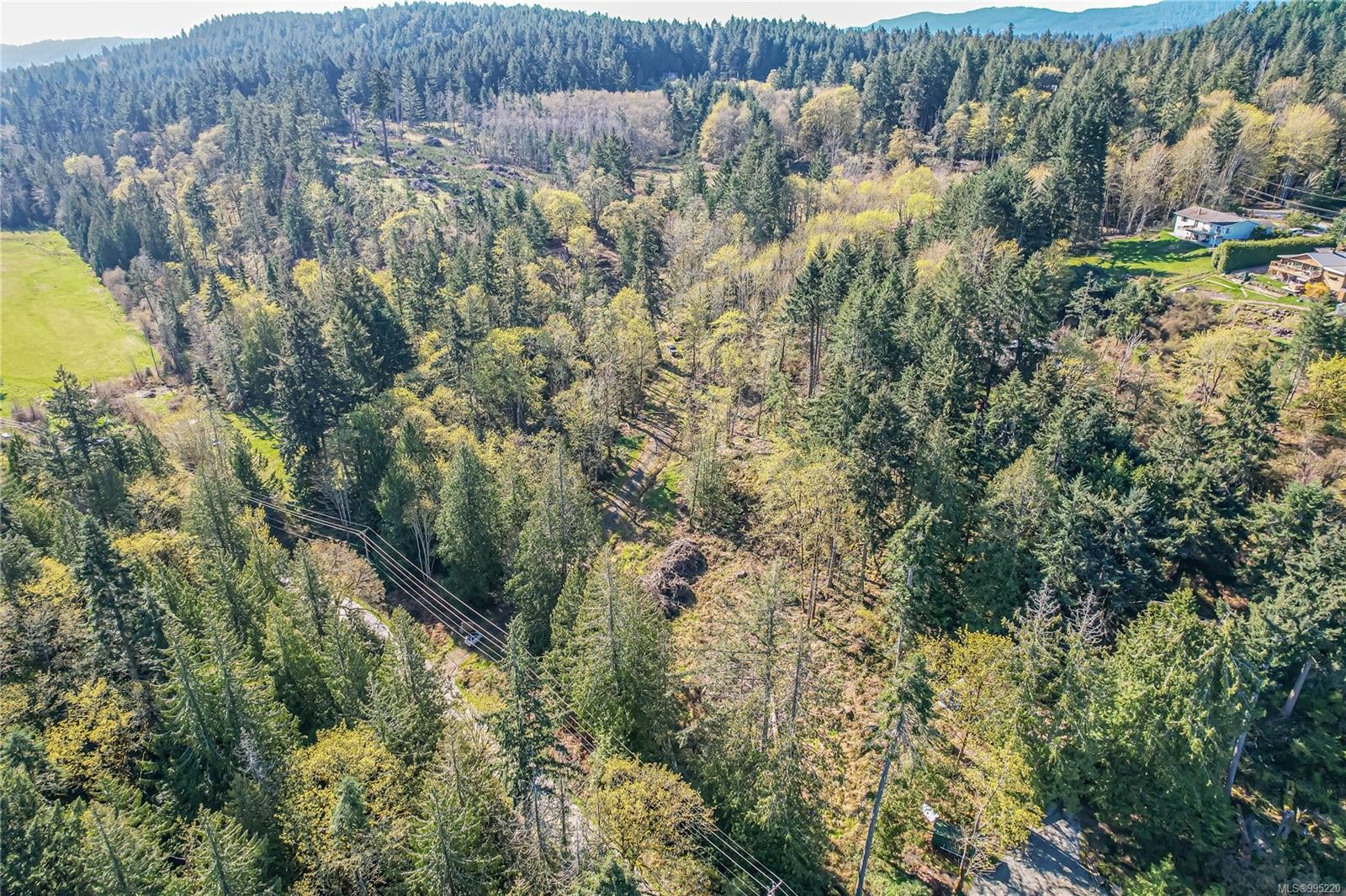 









547


Beddis

Rd,
Salt Spring,







BC
V8K 2E8

