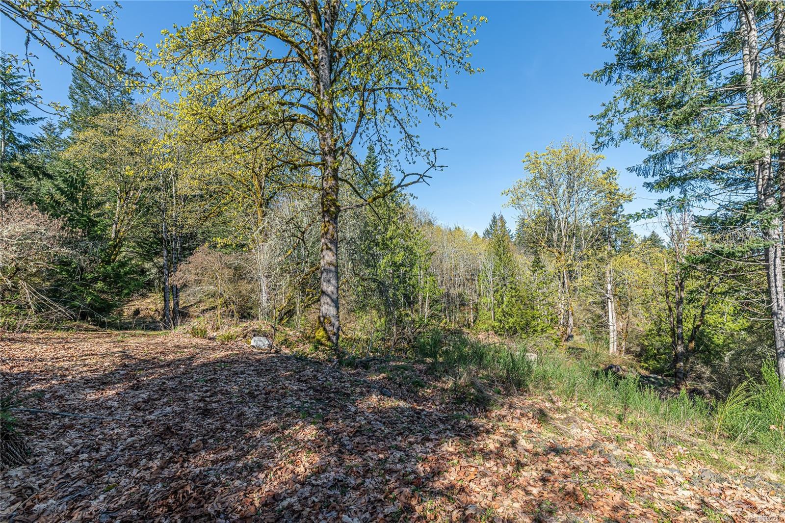 









547


Beddis

Rd,
Salt Spring,







BC
V8K 2E8

