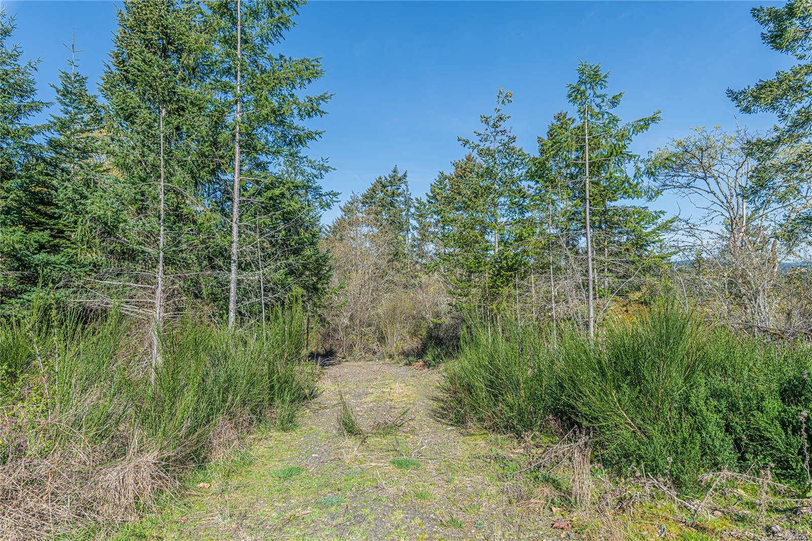 









547


Beddis

Rd,
Salt Spring,







BC
V8K 2E8

