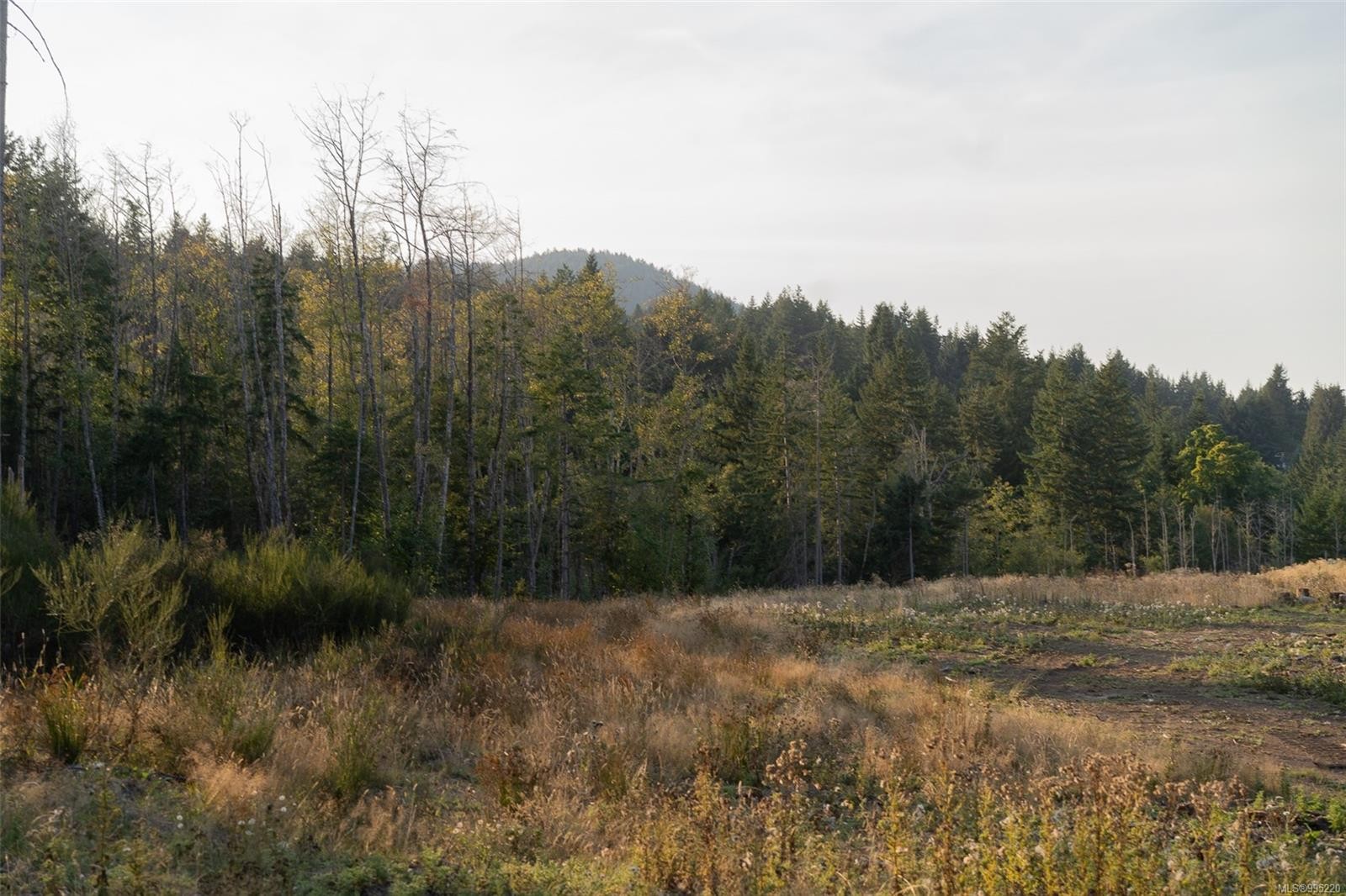 









547


Beddis

Rd,
Salt Spring,







BC
V8K 2E8

