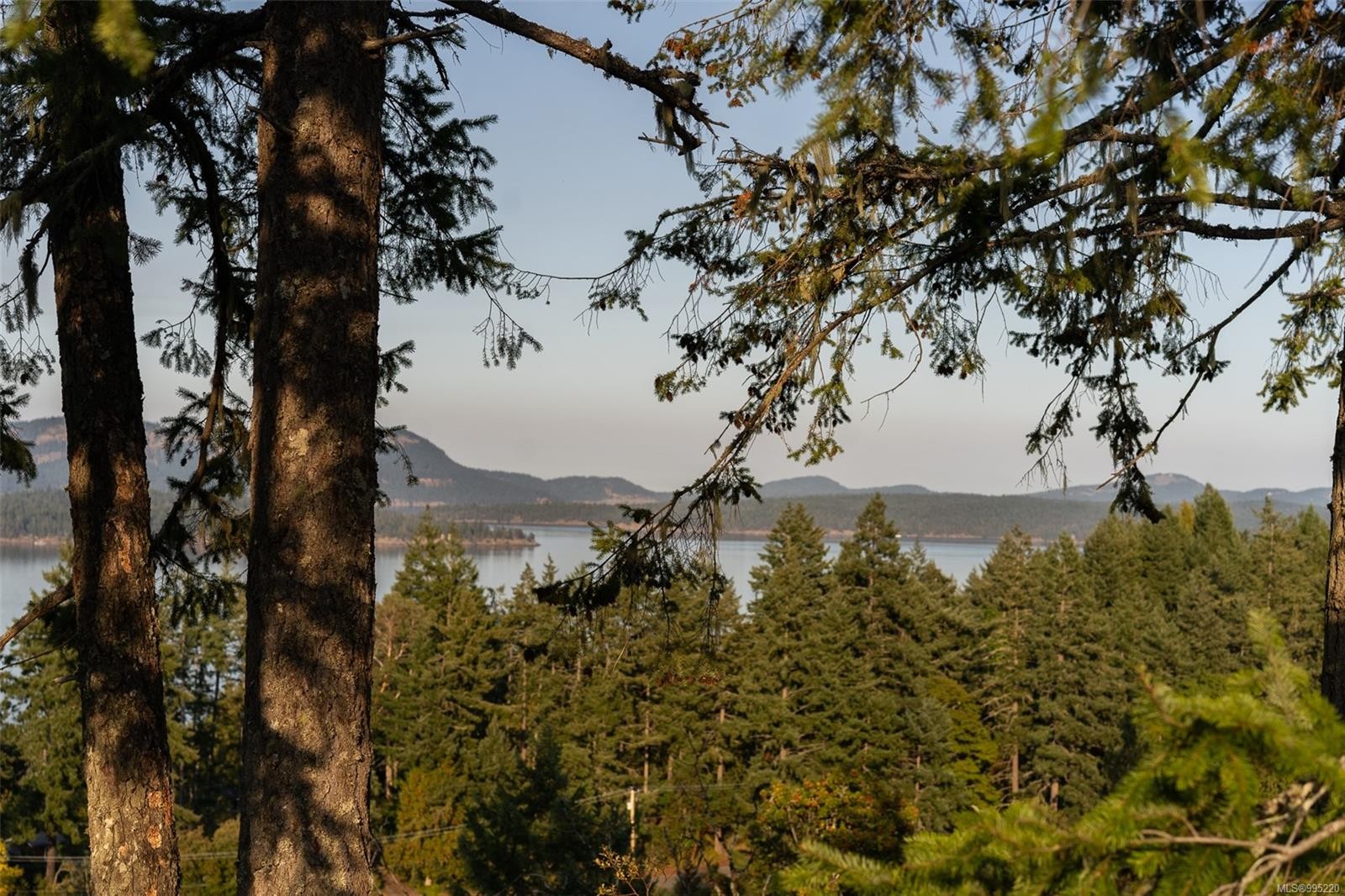 









547


Beddis

Rd,
Salt Spring,







BC
V8K 2E8

