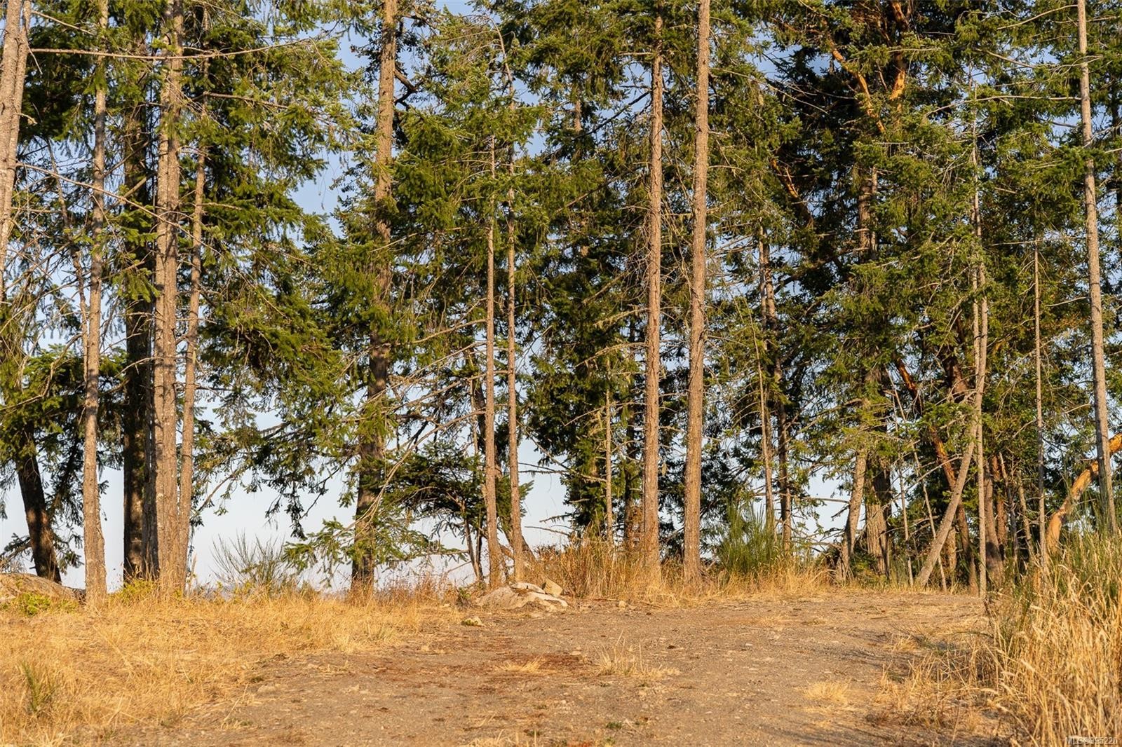 









547


Beddis

Rd,
Salt Spring,







BC
V8K 2E8

