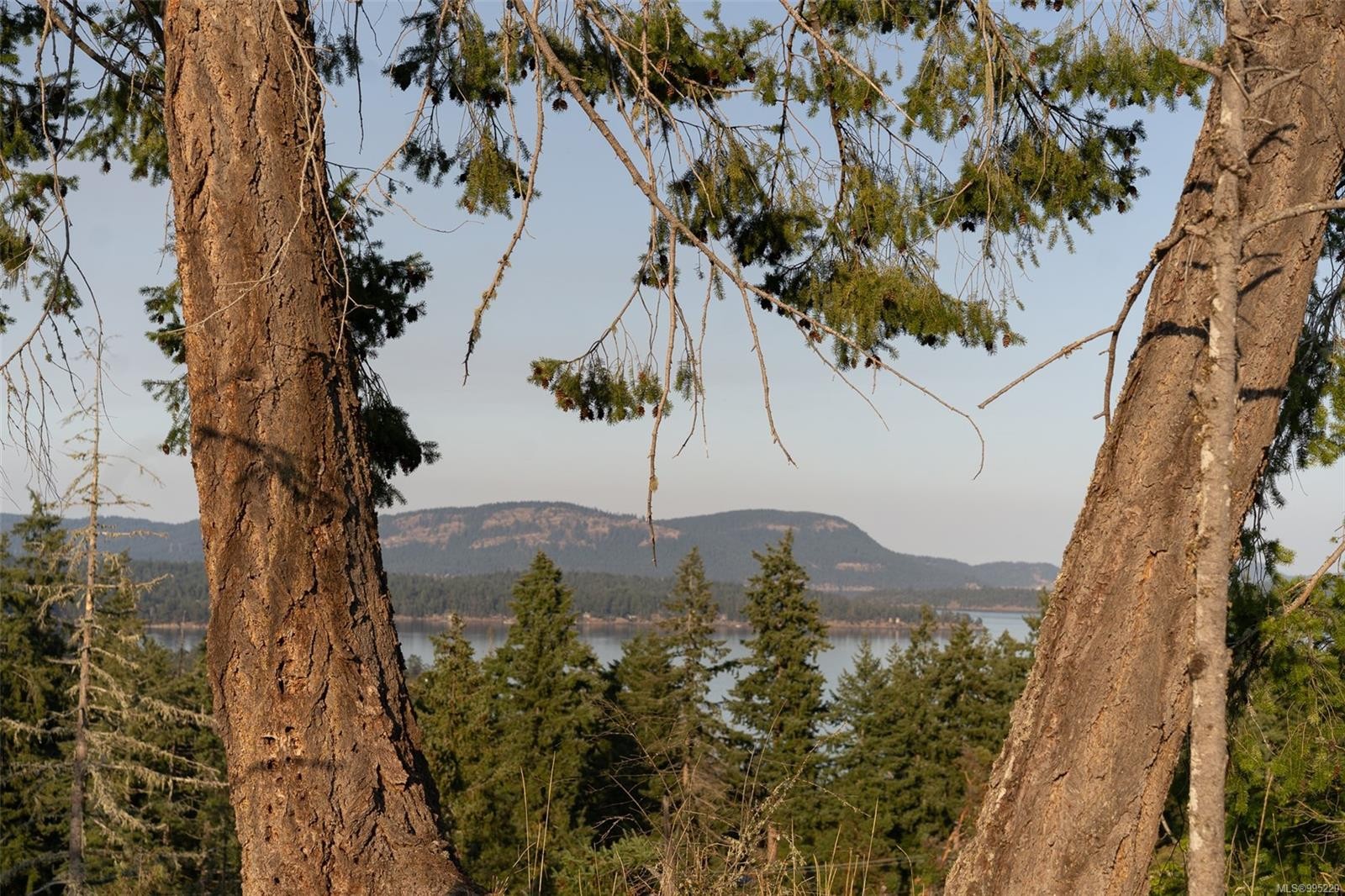 









547


Beddis

Rd,
Salt Spring,







BC
V8K 2E8

